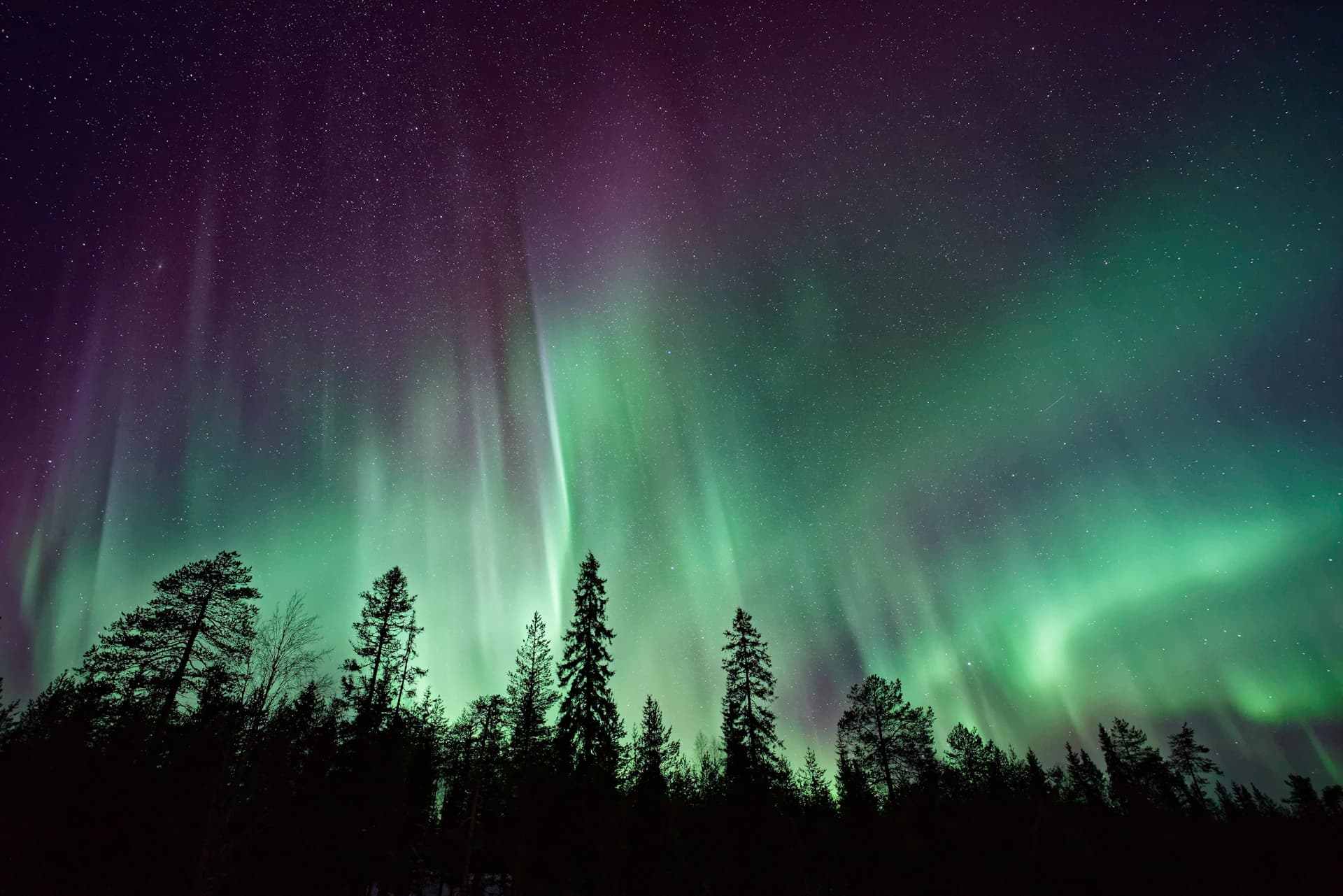 Northern lights reflected in a lake near Yellowknife